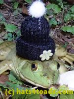 /home//u458753944/public_html/sourcegallery////////////////////////////////////////////////Frogs/Bullfrogs 2020-09 Upper Merion/P9280716.JPG
